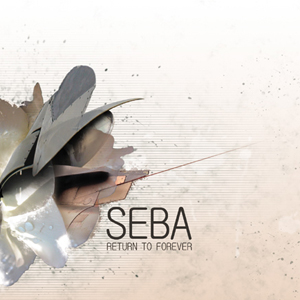 seba_return_to_forever